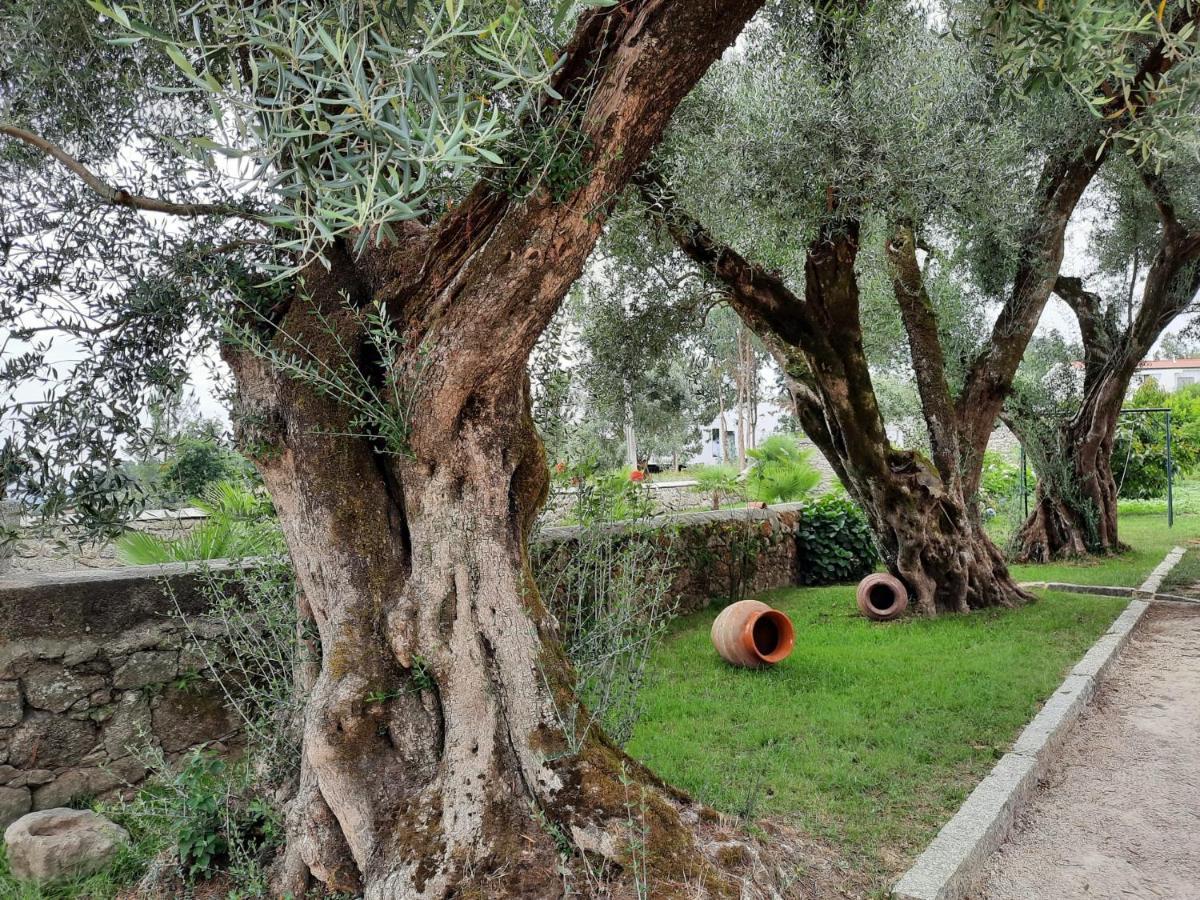 Quinta De Castelhao Villa Barcelos Dış mekan fotoğraf